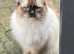 Missing from tuffley gloucester