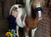 My kids Shetland for part loan.