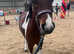 Flika