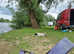 Male Fox terrier cross patterdale