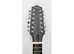 Gold Tone Manditar 12-String Mandolin Guitar - A Real Super Bargain !!!