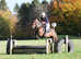 Super smart and honest pony!