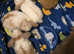 4 babys left lion lops
