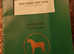 14.1hh Welsh C gelding