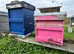 Honey bees nuc nucleus,bee colony,national hive,WBC, 14x12,langstroth beehive,bees mated queen
