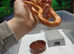 Albino baby corn snake