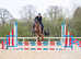 Stunning 4yo Mare showjumping/dressage/ Event prospects