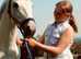 13.2 h gelding