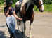 Hack/potential allrounder. Lovely temperament.