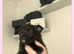 Pomchi puppies
