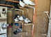 Pakistani Highflyer pigeons for sale cheap