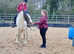 16hh cob to make 16.2hh