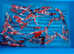 Japanese koi carp for sale by breeder Tanaka k