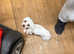 This beautiful girl is looking for a new sofa