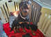 Rottweiler x german shepherd puppies