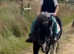Lead rein , first ridden shetland