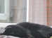 1 year old black cat