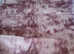 Beautiful large pink Rug