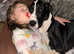 Gorgeous Great Dane