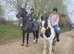 14.1 coloured gypsy cob.  Gelding. 12yrs old