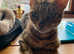For sale beautiful pedigree bengal