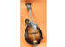 Aria F Style Mandolin, Plays great, Sounds Really Nice, comes with Morgan Monroe Case!