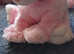 Ty Beanie baby bundle (Great condition)