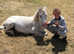 RHYDYFELIN STAR GIRL kids pony