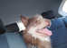 Patterdale mix