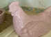 Pink chicken egg storage.