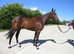 Pretty 3yr RoR eligible