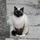 helsbaker_1210