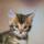 carole.l.rowland