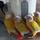 Sharon's handreared birds