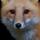 Kevin Fox