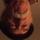 Chris