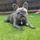 CharlieSell