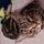 carolnienaltowski35