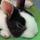 Bunny Haven