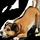 happytails105