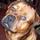 hooch90