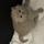 Becki