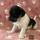 Crystal Smith
