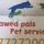 pawed pals home boarding & pet services