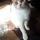 Animalsparadise28