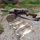 Airgunhunter1966