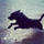 vicki_gibson