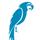 Parrot-Supplies