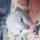 kittengalaxysparkle