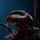 JNJ_ venom